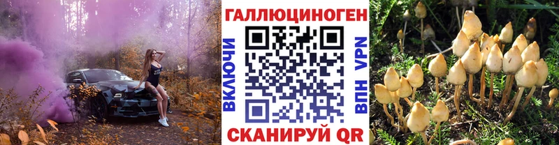 хочу   Струнино  Галлюциногенные грибы мухоморы 